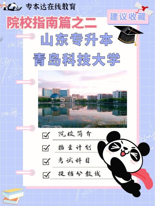 青岛科技大学怎么报名