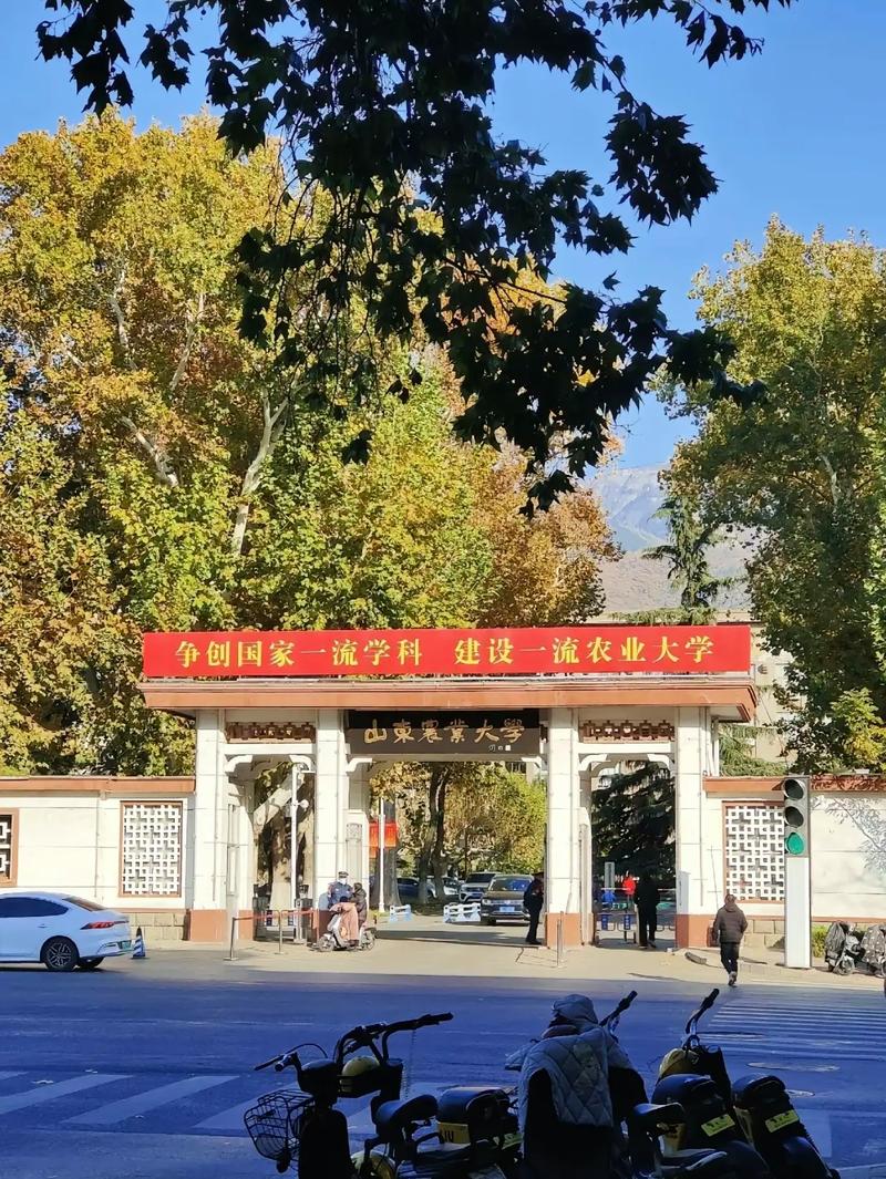 山东林业大学在哪里