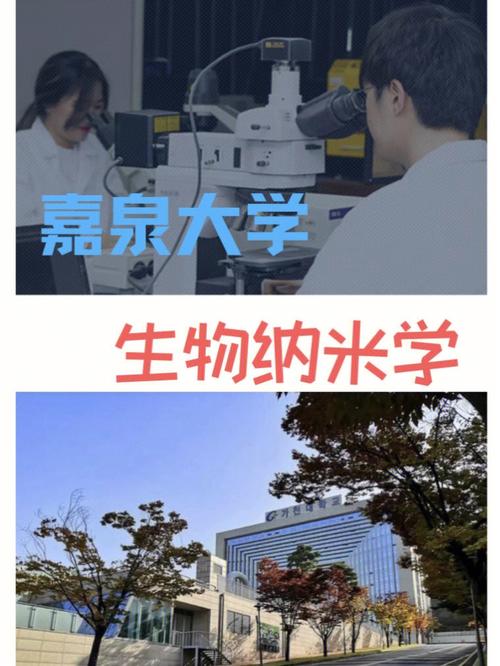 哪些大学有纳米生物专业