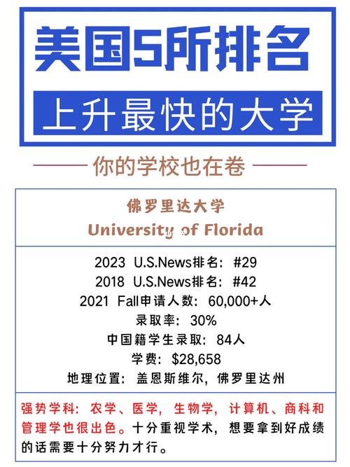 德克萨斯有什么大学排名