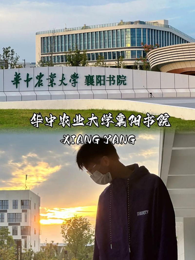 襄阳哪些大学男生多