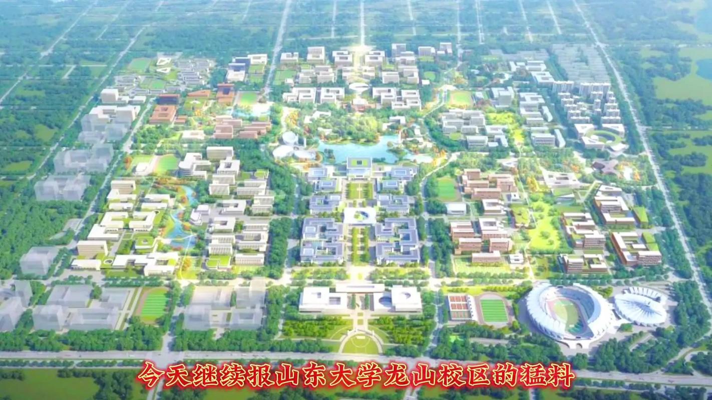 山东大学怎么安排校区