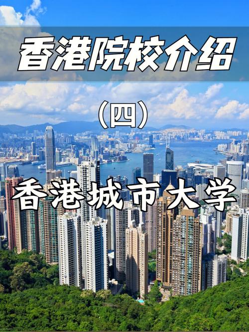 香港城市大学在哪里