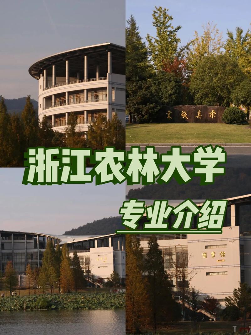 农林到大学学什么专业