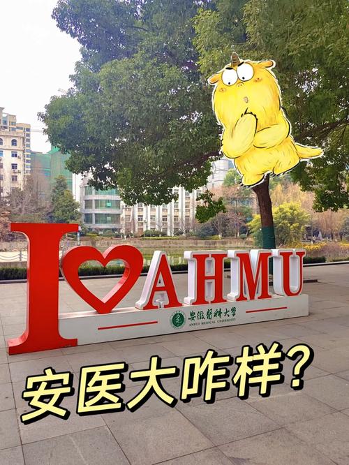 安徽医学大学怎么样