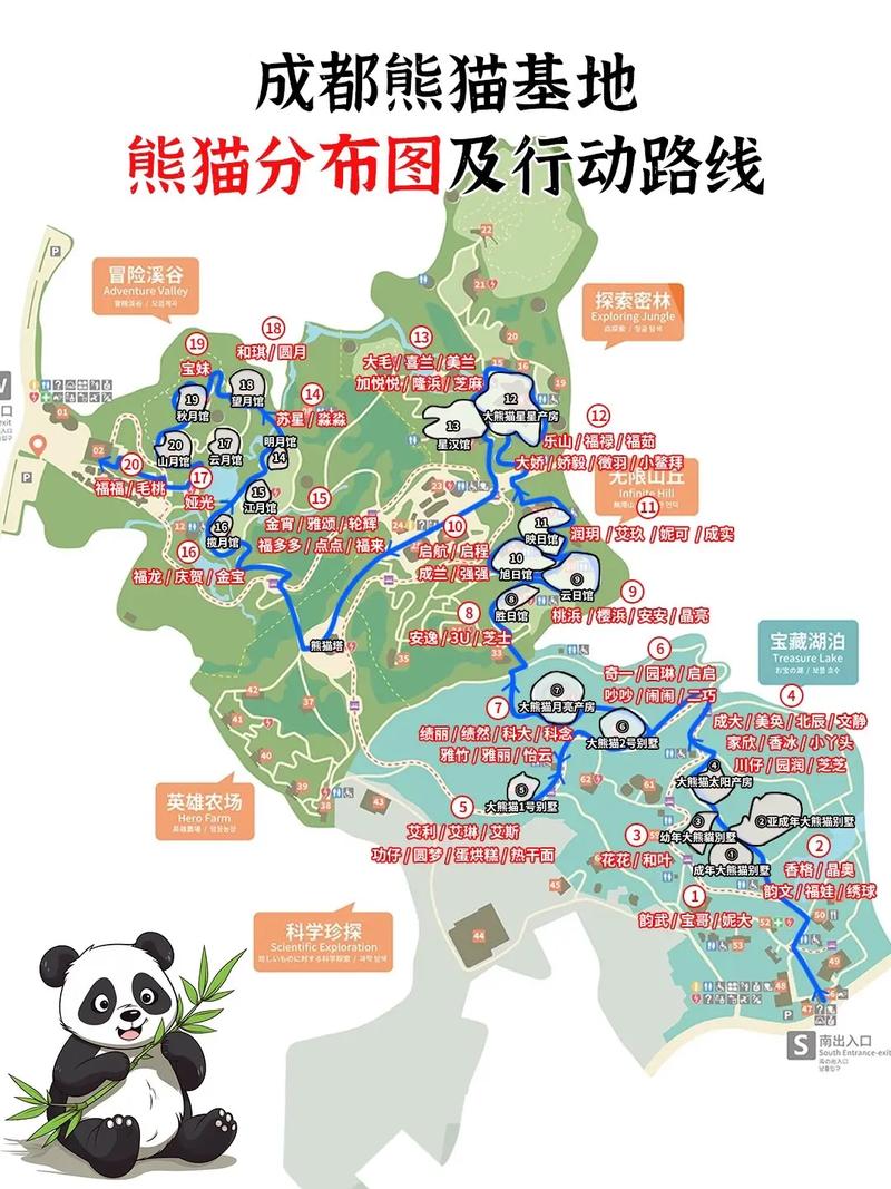 川大到熊猫基地怎么走