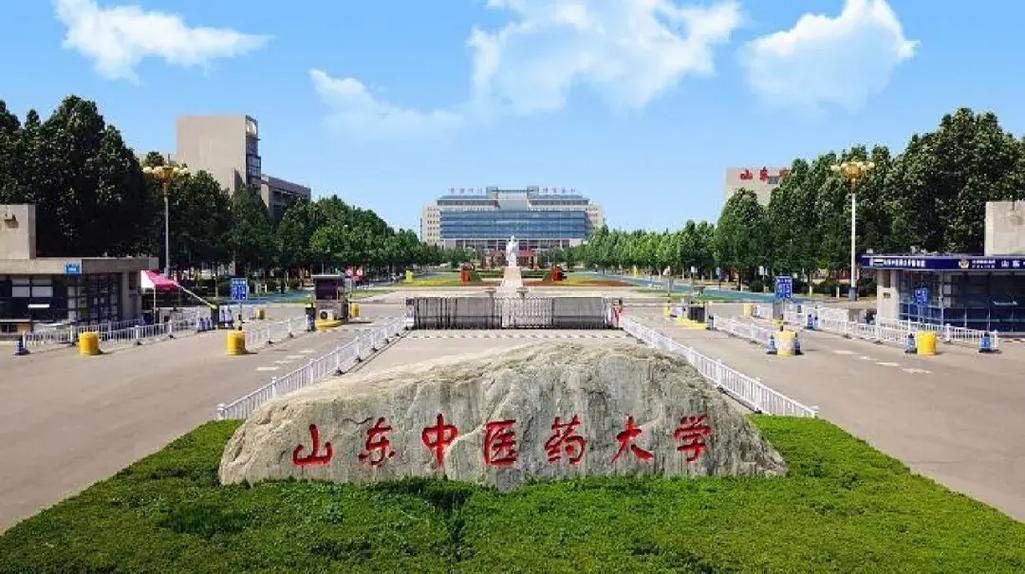 山东有哪些中医专业大学