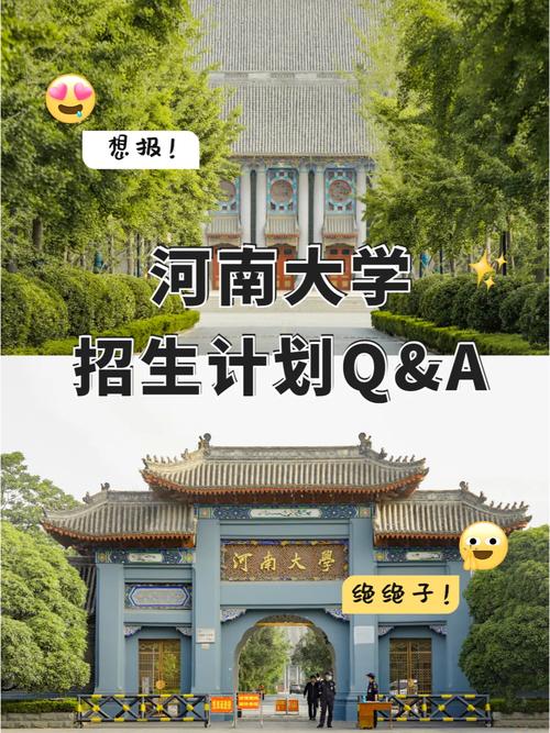 河南大学属哪个区