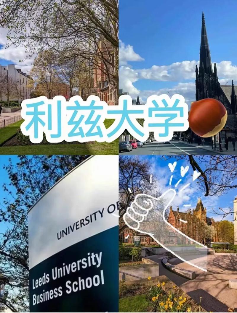 利兹大学是哪个国家