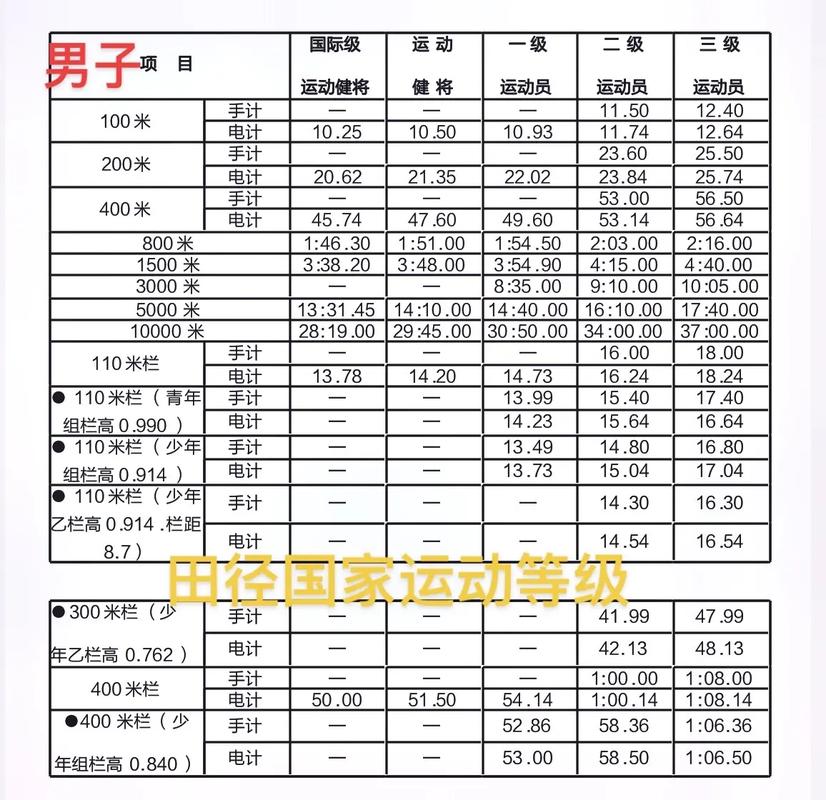 高水平运动员怎么算分