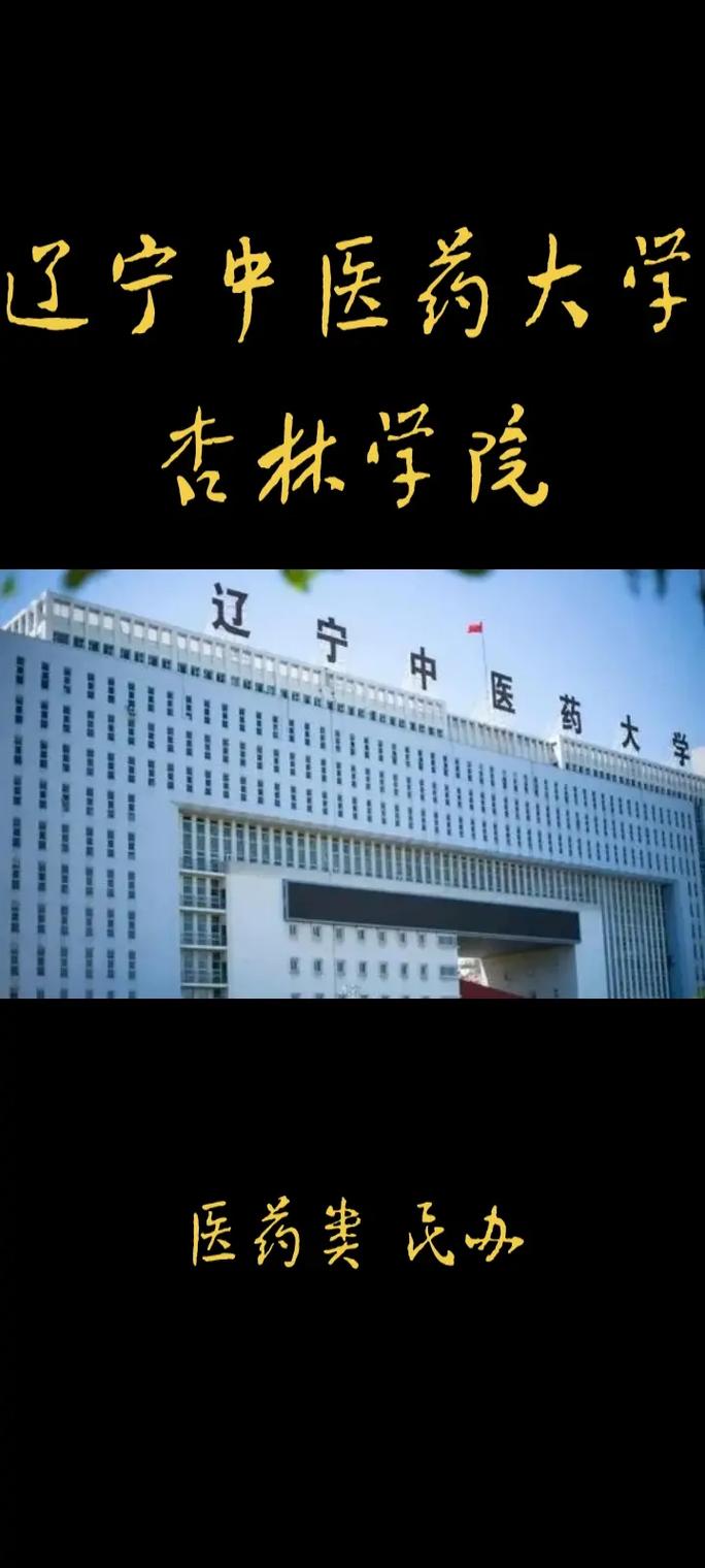 辽宁有哪些医学类大学