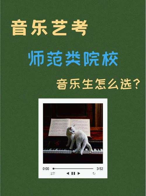 哪些师范大学音乐系