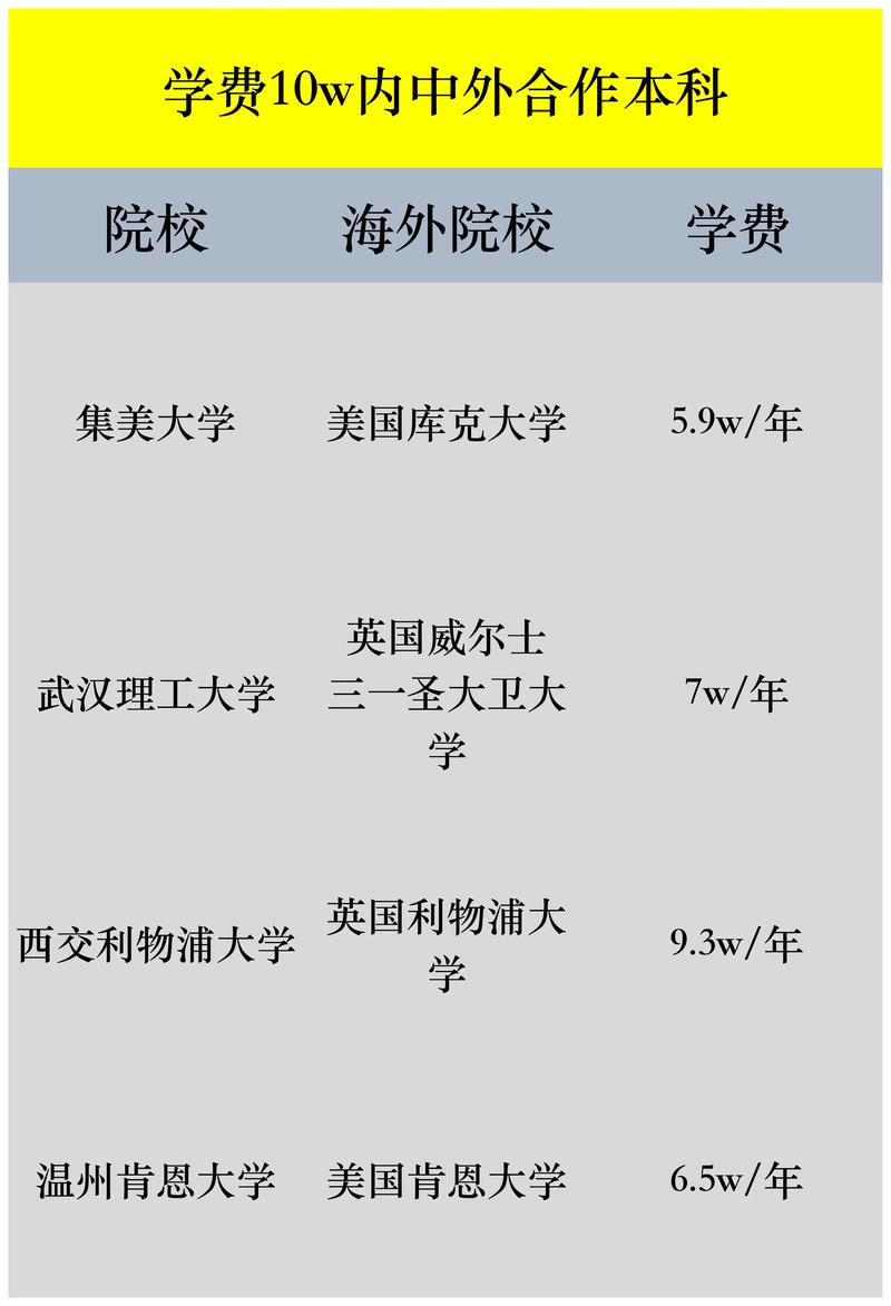 本科中外合作大学有哪些