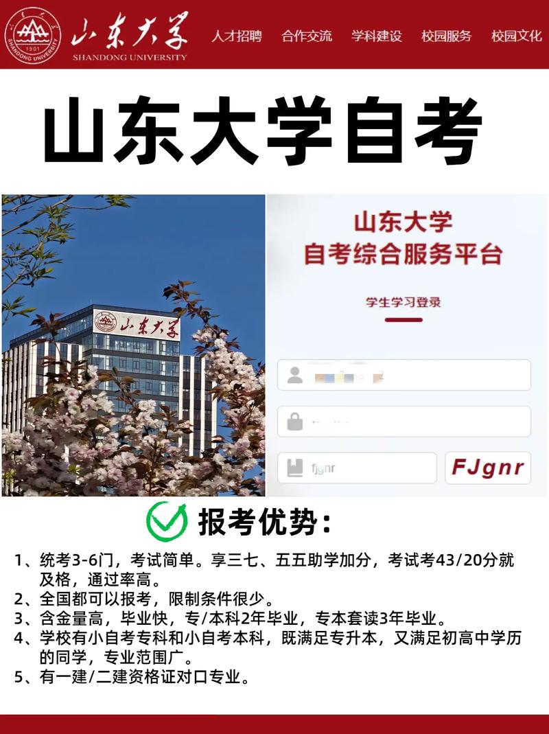 山东大学实践本科在哪里