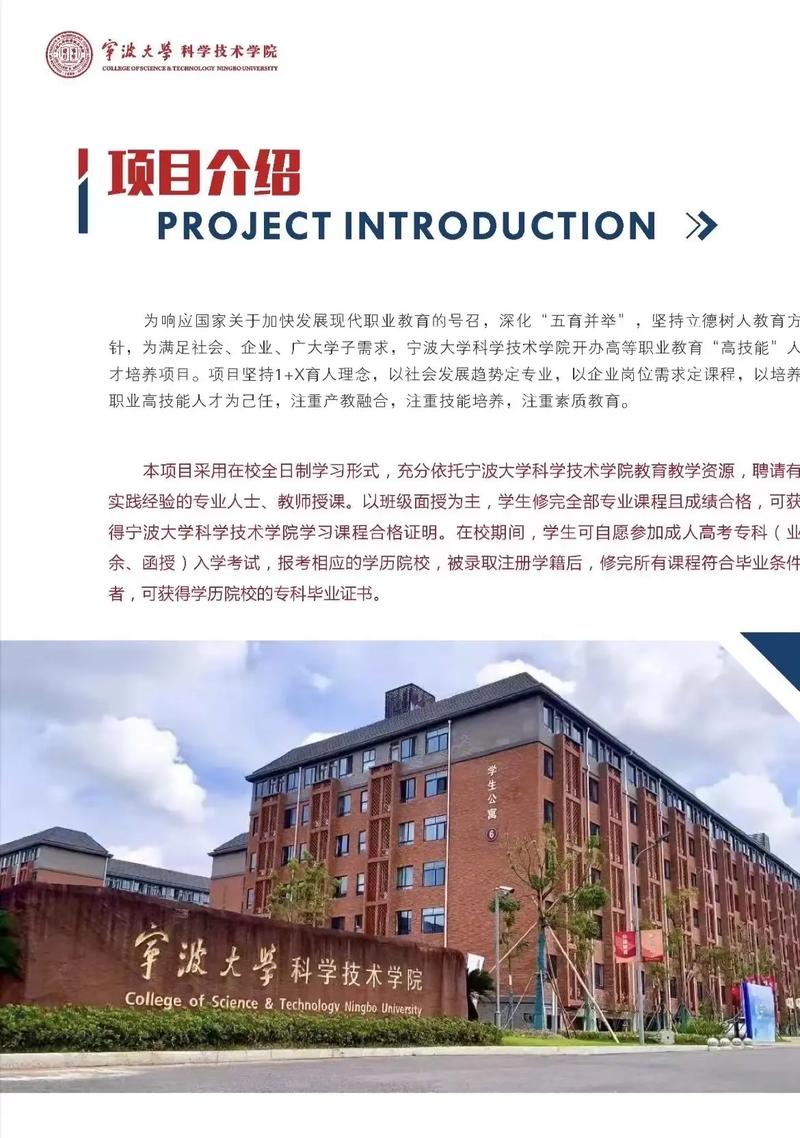 宁波大学较好专业有哪些