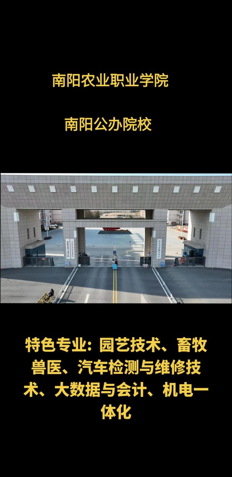 南阳市大学哪个好