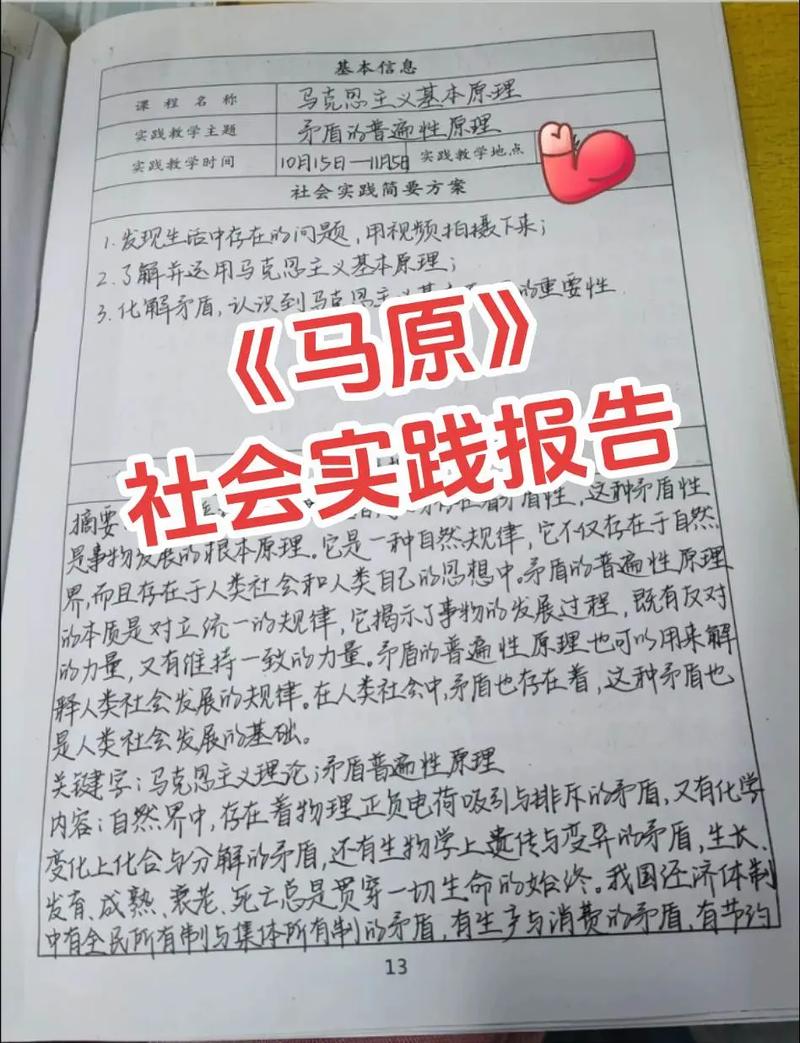 大学社会实践项目怎么获奖