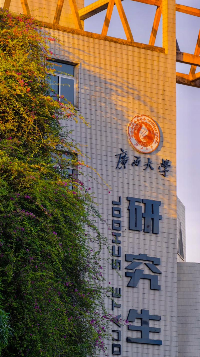 广西有哪些好的大学院校