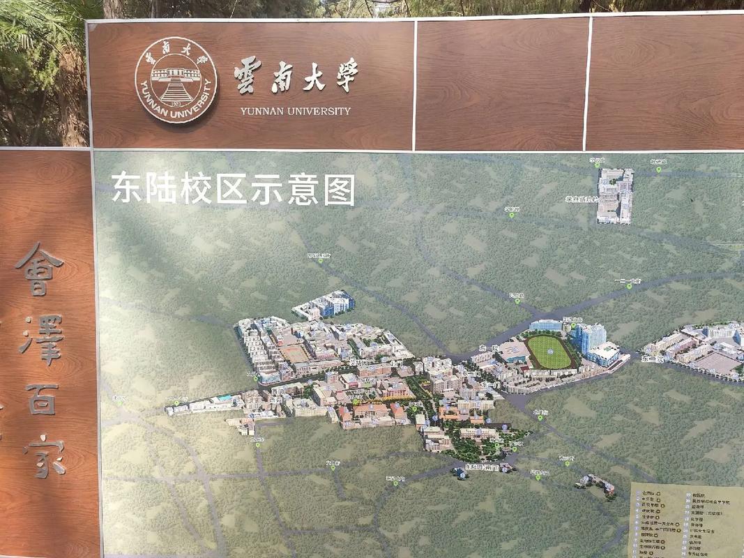 云南大学的本科生住在哪里