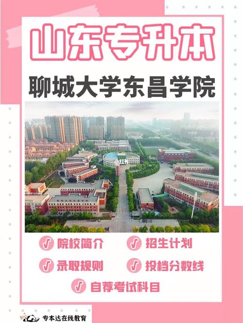 聊城大学招生办电话是多少