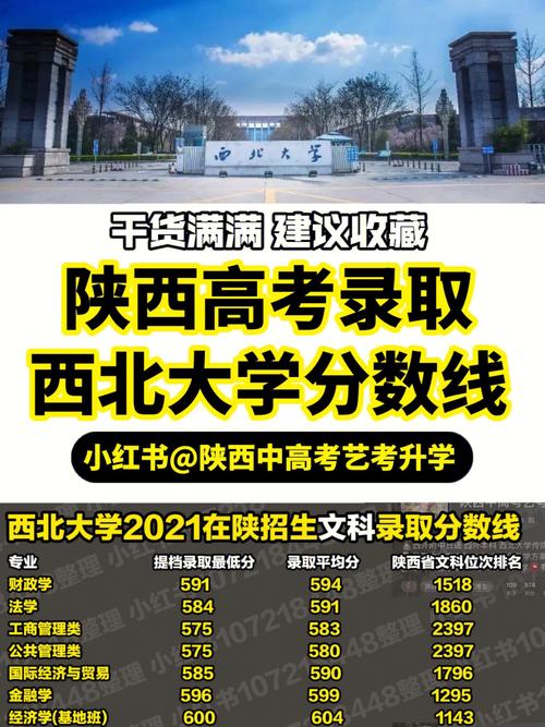 西北大学多少分