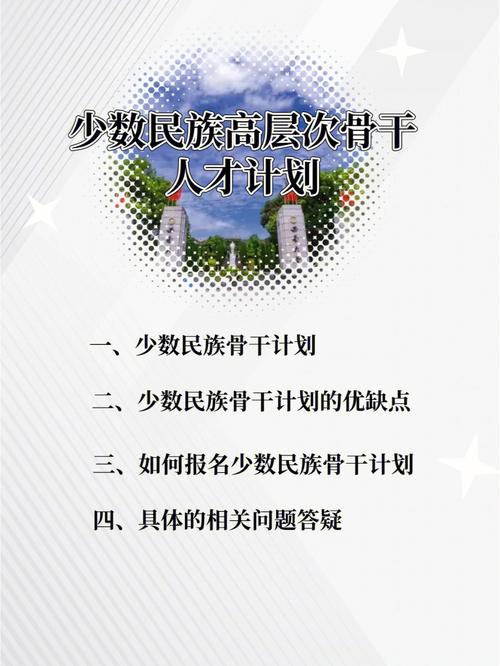 哪些少数民族骨干计划