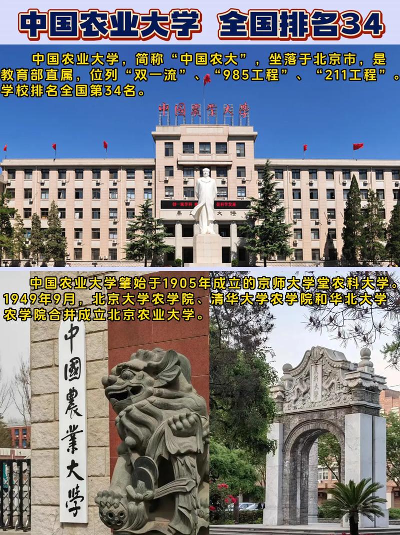 农大是哪个学校