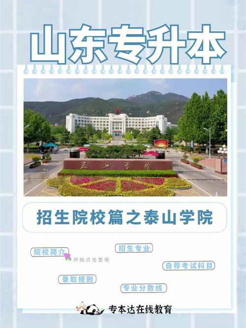 泰山学院哪个专业分最高