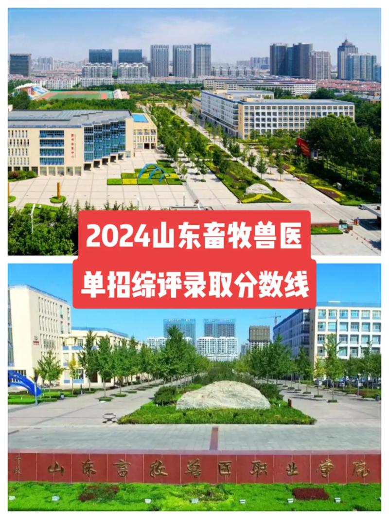 山东畜牧兽医专业哪个学校