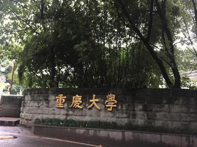 重庆大学有哪些研究所