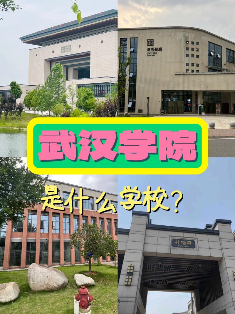 武汉电院是哪个学校