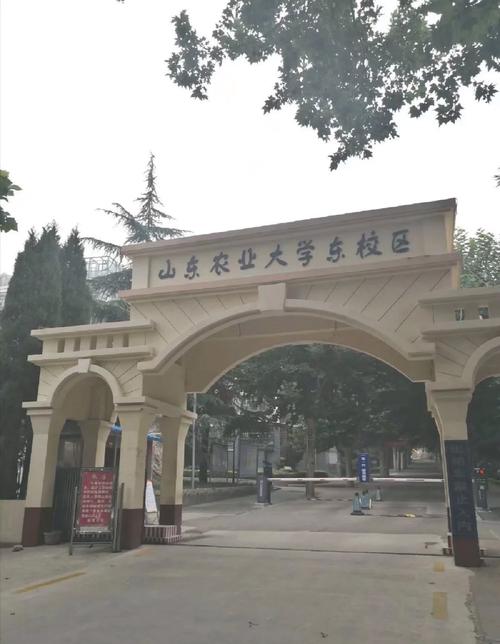 山东农业大学中外合作在哪个校区