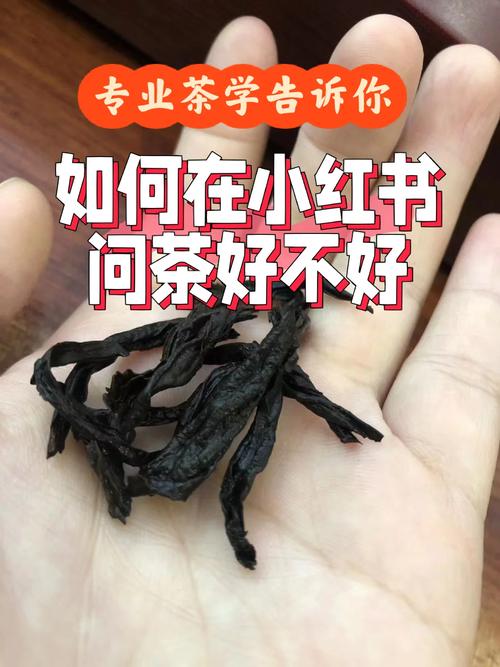 西北农林的茶学怎么样