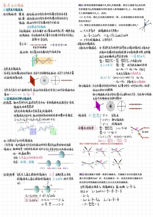 大学光学是哪个系学的