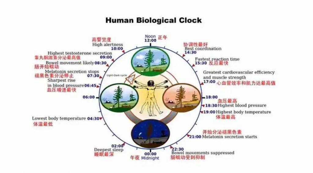 大学科学的运动方法有哪些