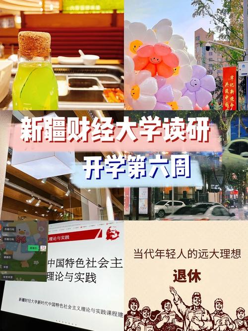 新疆财经大学用英语怎么写