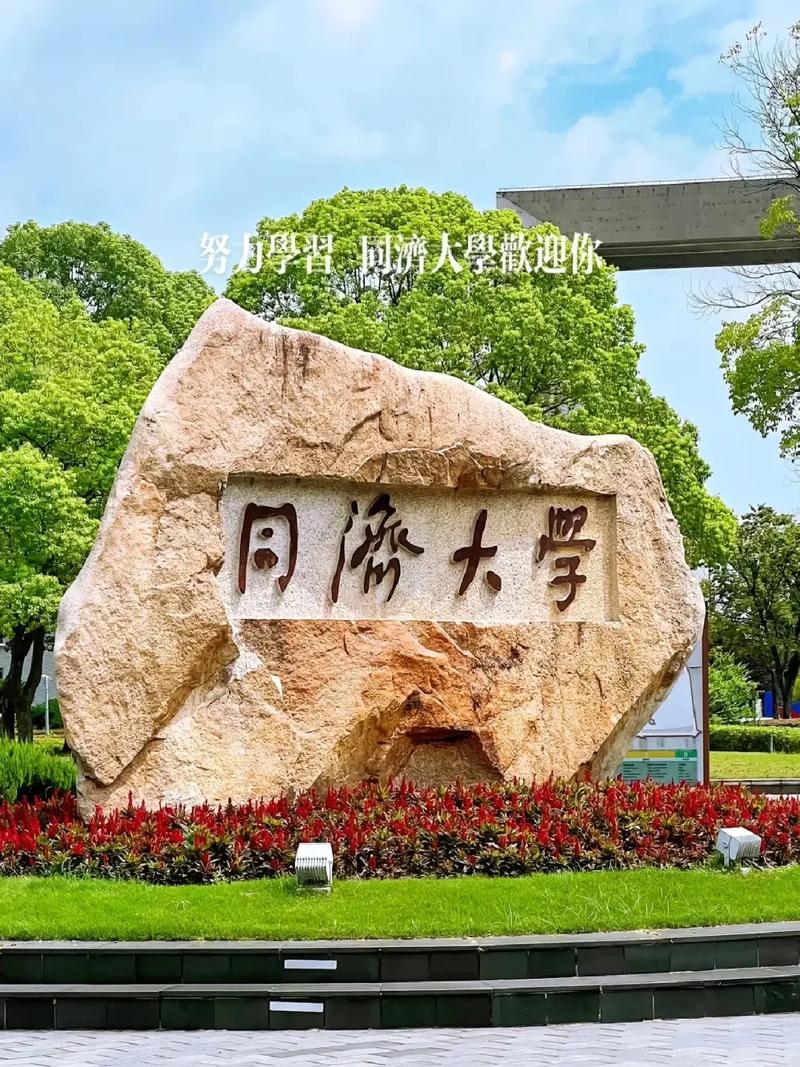 上海同济大学有哪些学院