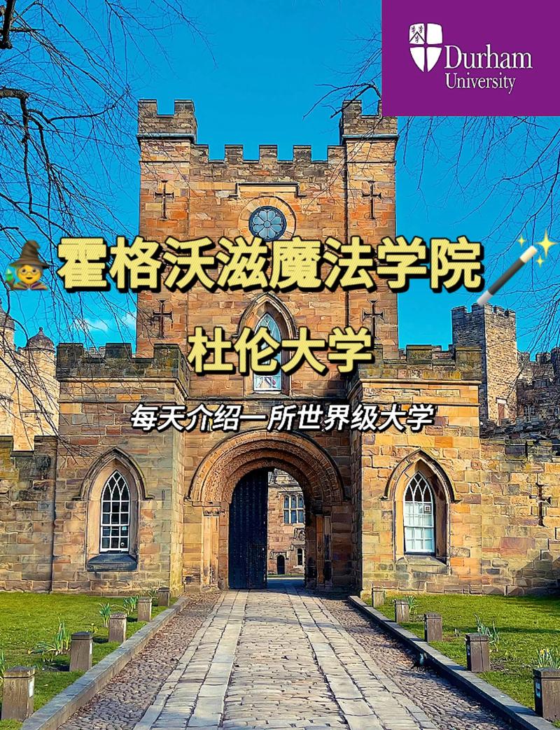 杜伦大学哪个学院最好