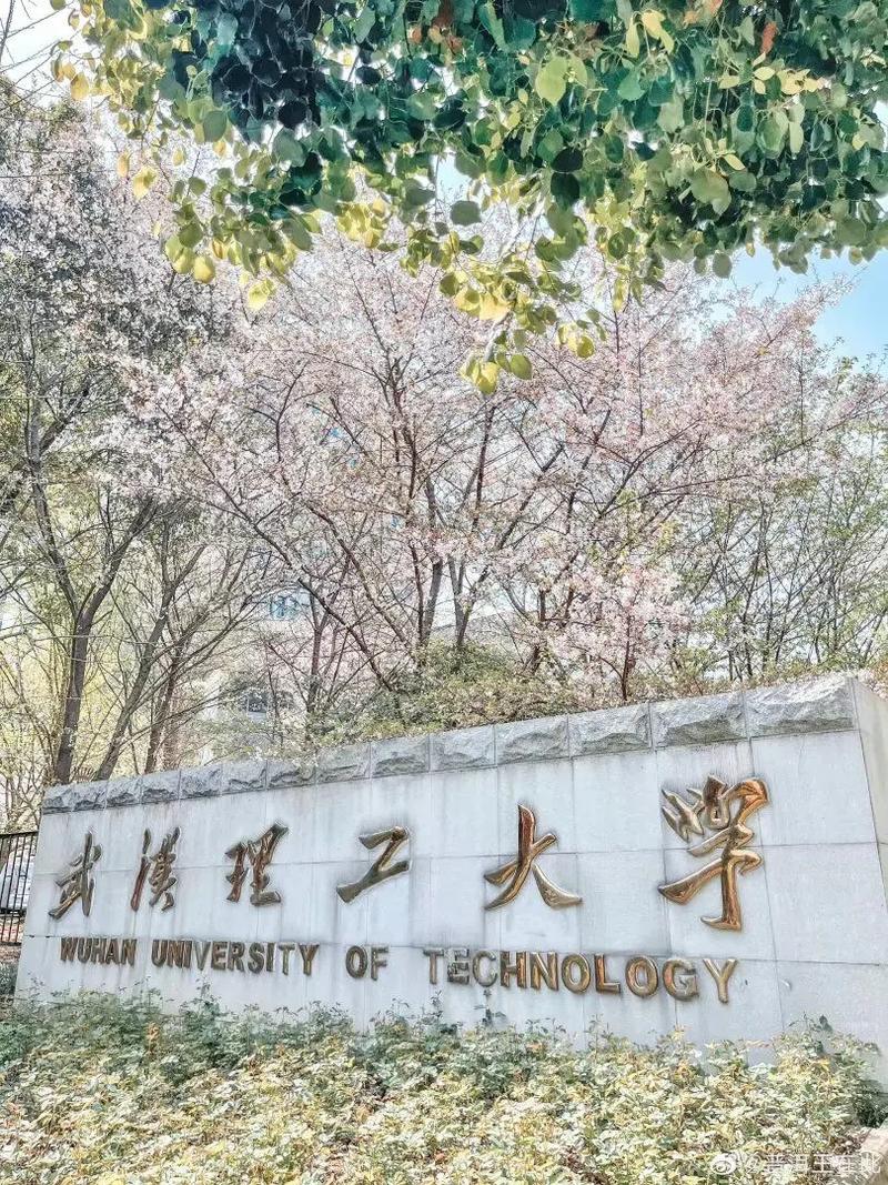 武理工大学在哪里