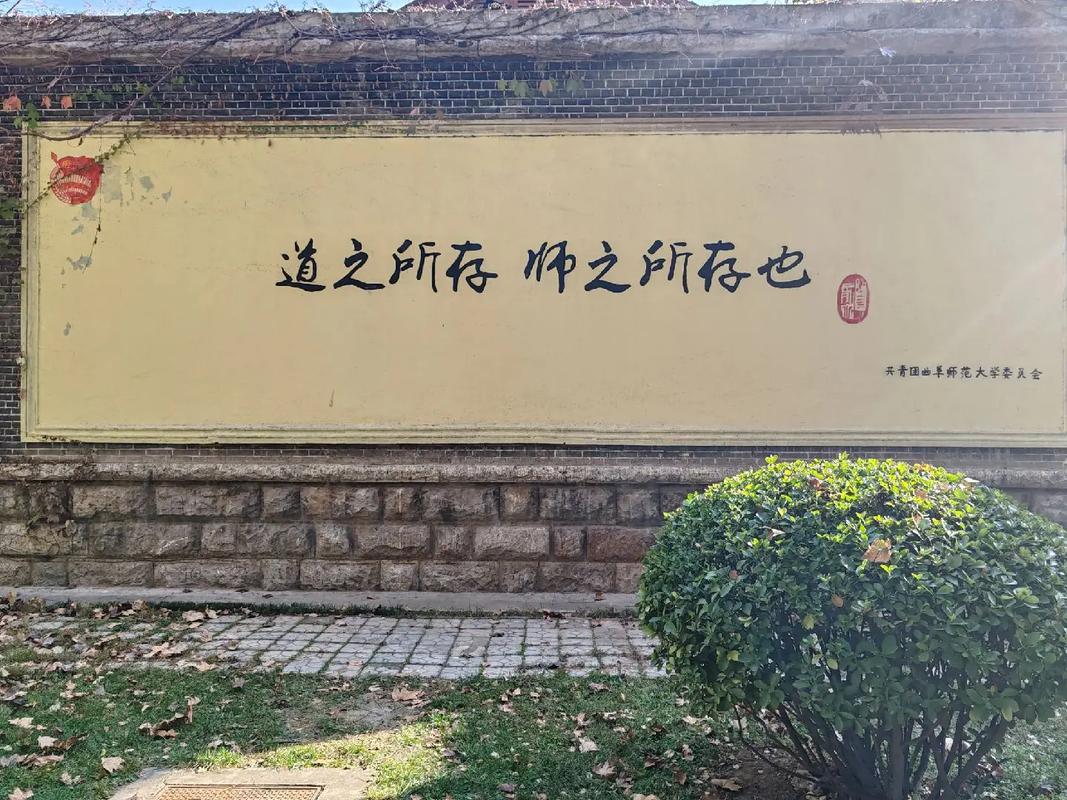 师道园是哪个大学