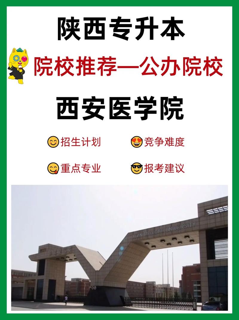 西安哪些大学有医学部