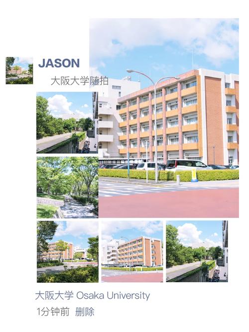 大阪国际大学比较哪个好