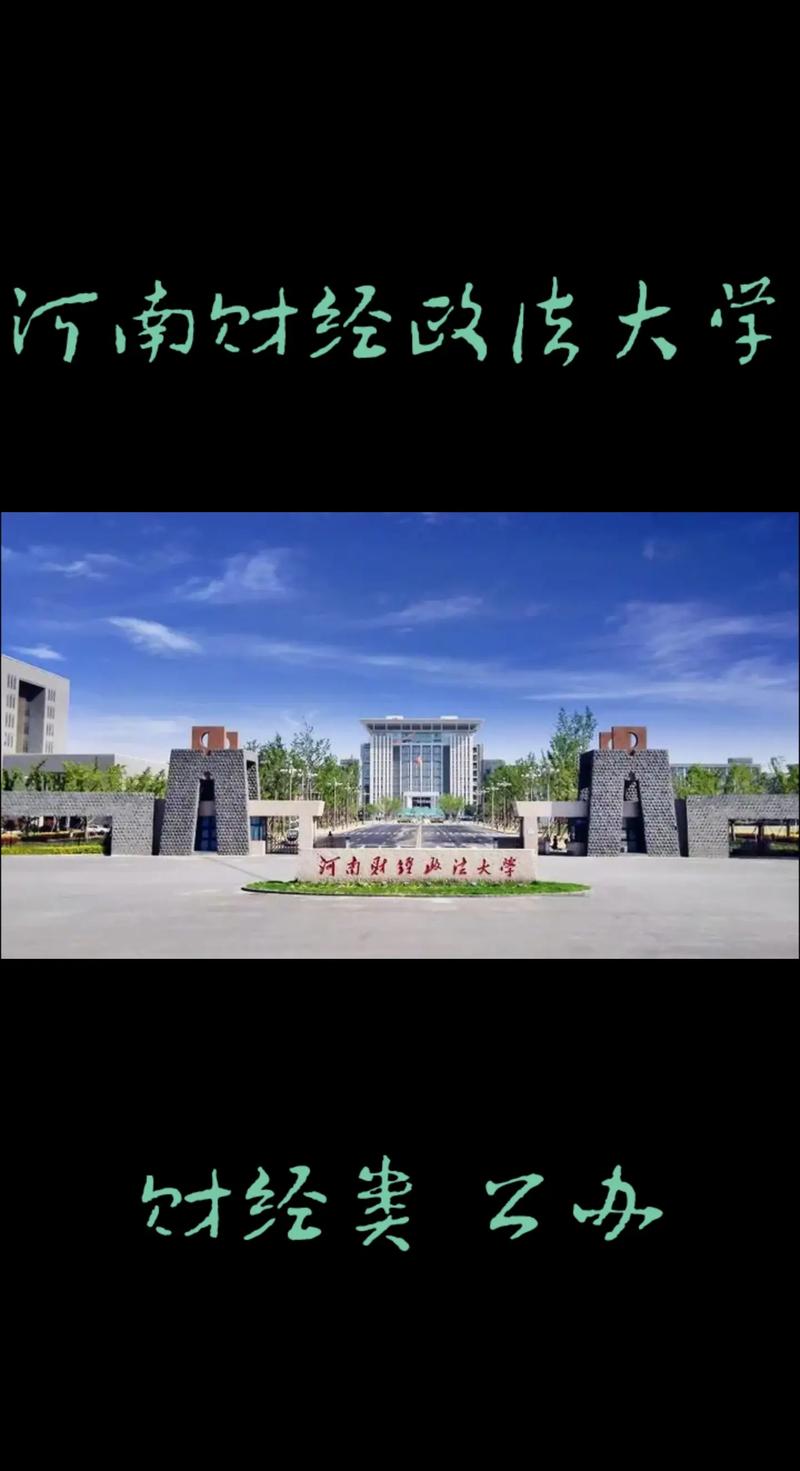 河南财经政法大学怎么上网