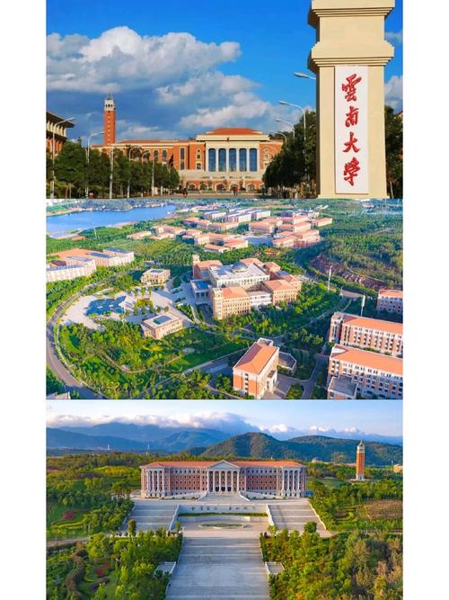 云大附近怎么找大学生