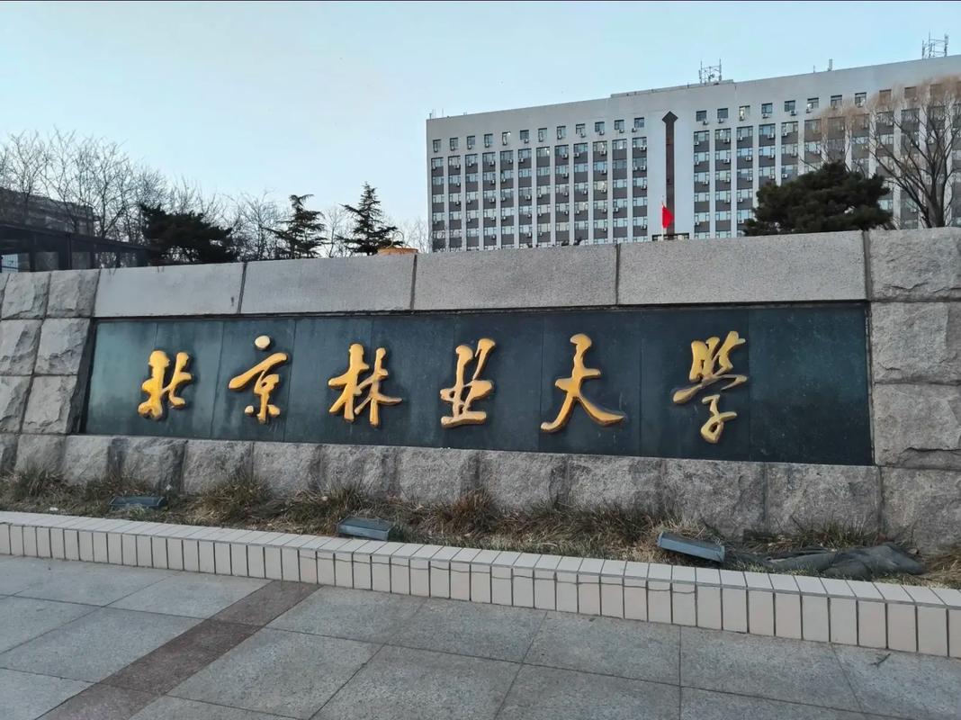 林业大学哪些学校好