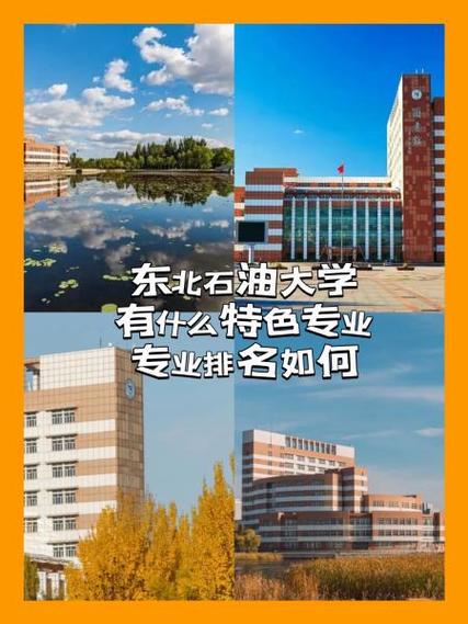 东北石油大学哪个专业好