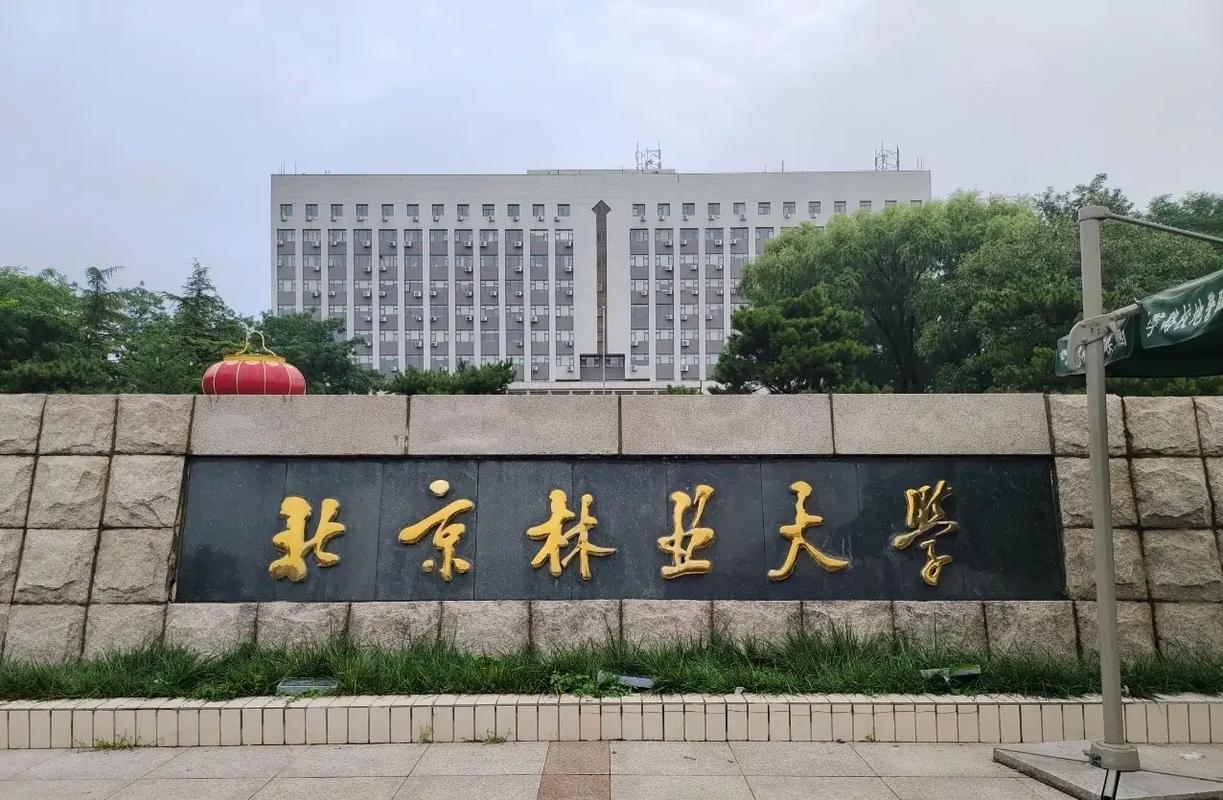 艺术类考生学校大学有哪些