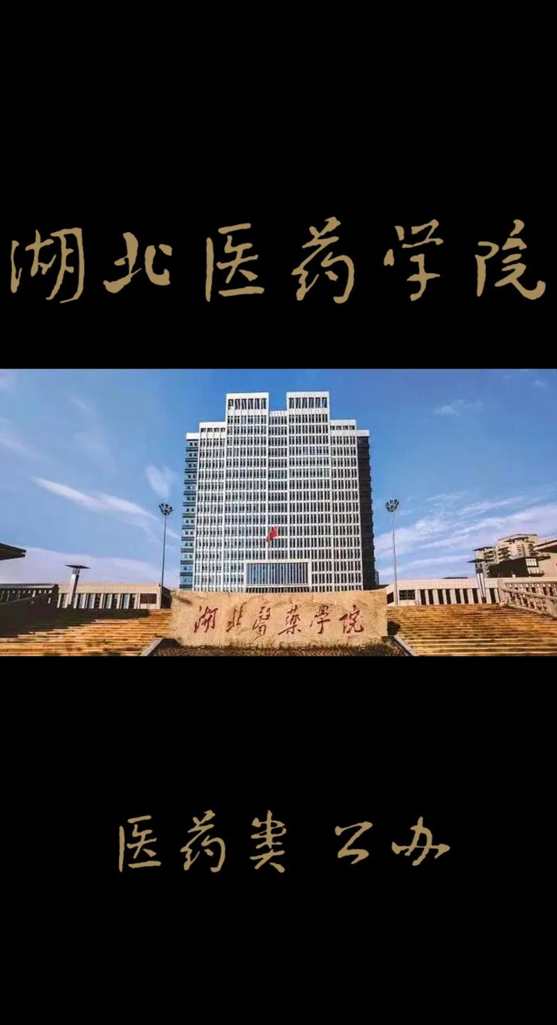 湖北医药学院大学在哪里