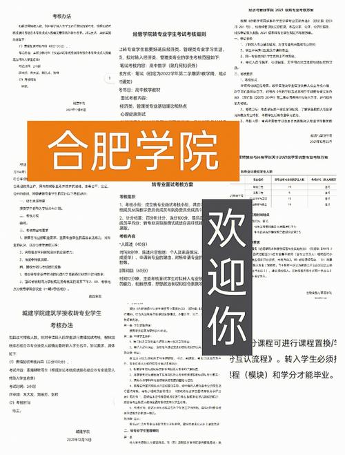 合肥学院的师范专业怎么样