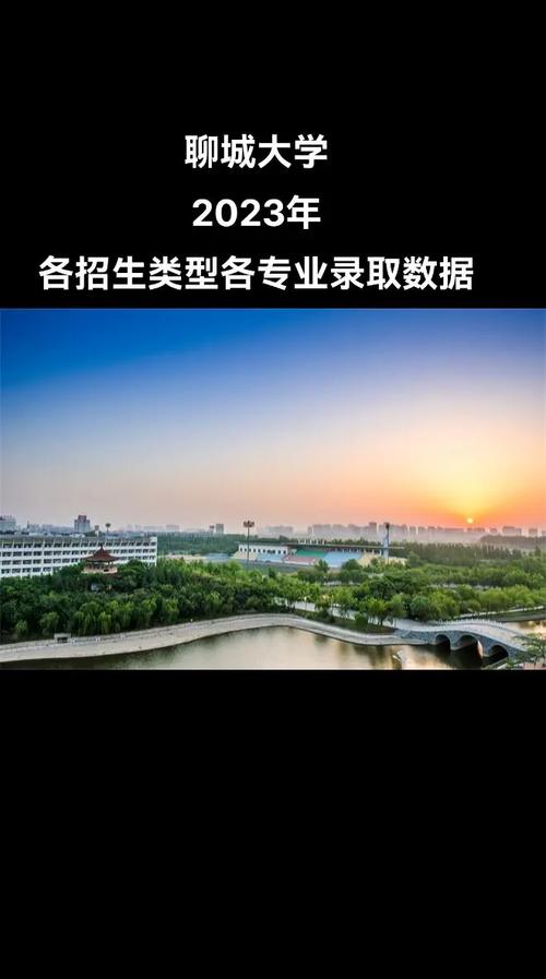 聊城大学多少专业